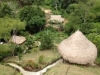 tayrona