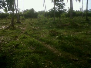 venta lote finca raiz santa marta