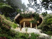 bosques