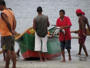 1.1238528940.fishing