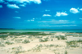 macuira, alta guajira, punta gallinas, macuira, alta guajira, punta gallinas,
