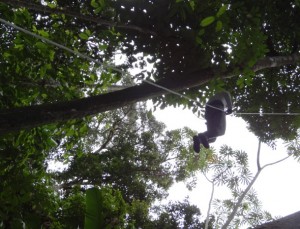 amazonas colombia