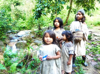 Ciudad Perdida Tour