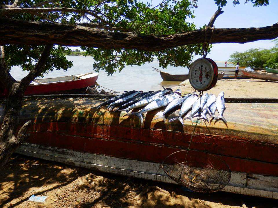 la-guajira-vissers1